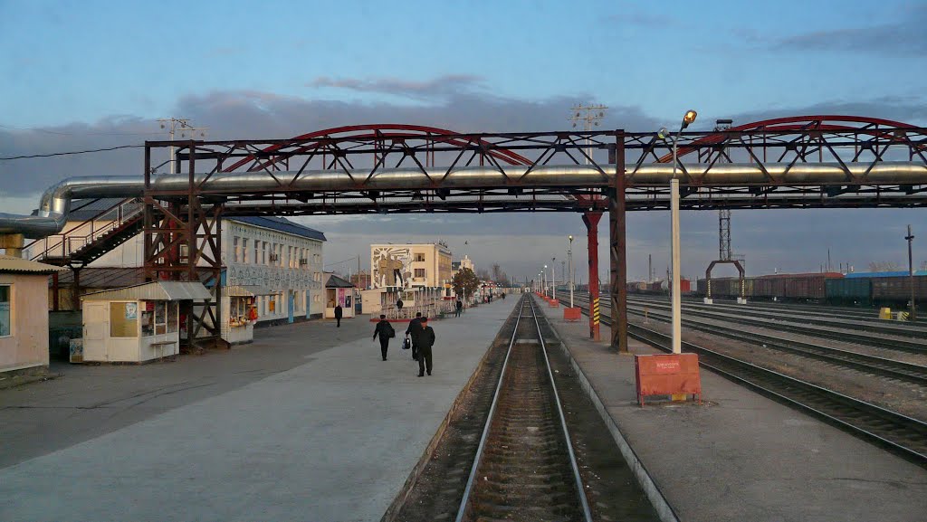 Кызылорда.