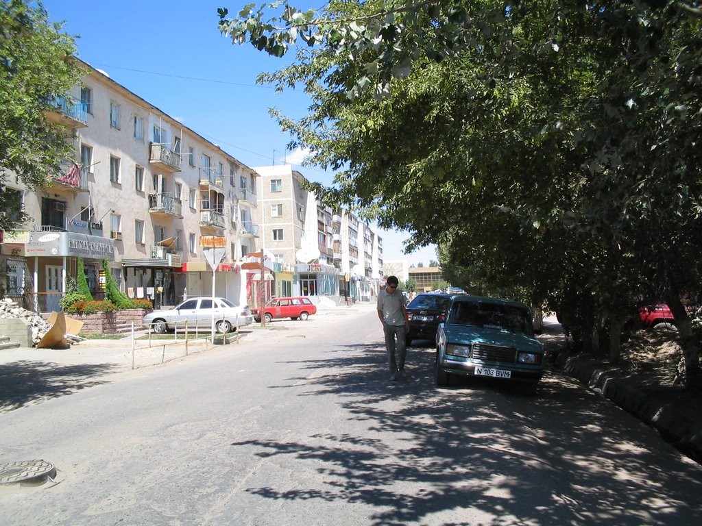 пер. Тулебаева