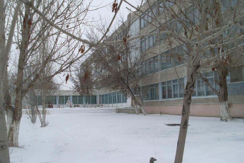 Школа №5