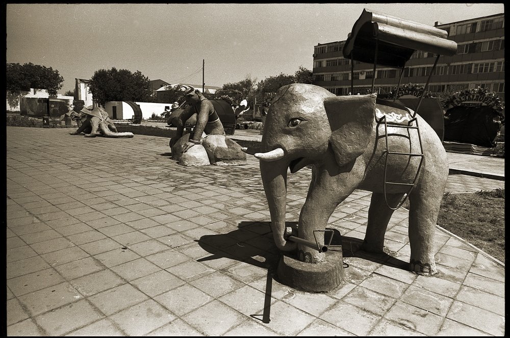 Cement ZOO in Kyzylorda