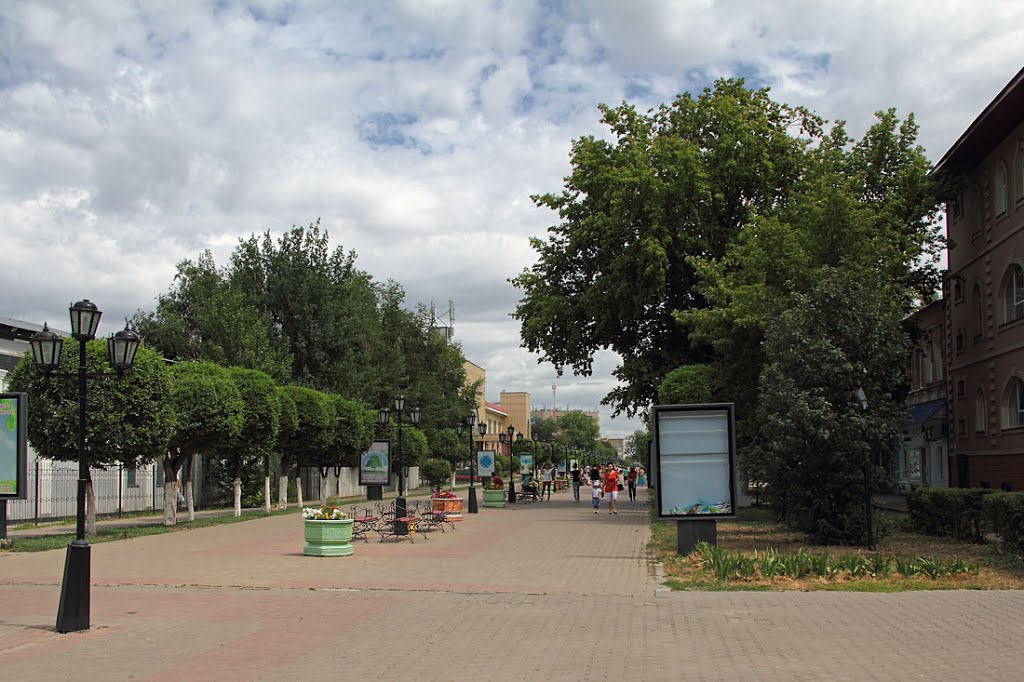 Пешеходная улица