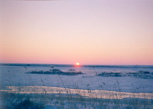 Байконур, рассвет на р. Сырдарья, январь 2001 г.