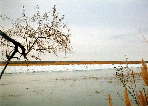 Байконур, р. Сырдарья, предзимье, конец 1990-х гг.