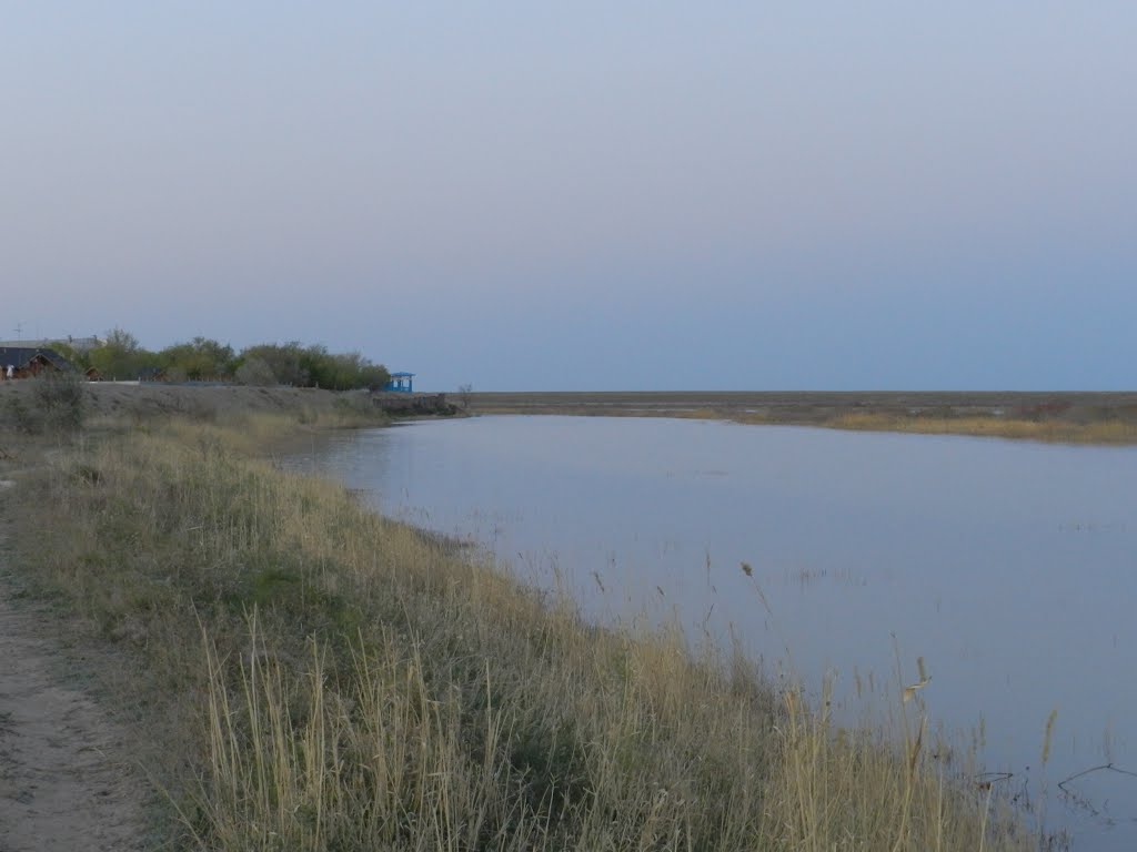 Сумерки. Сырдарья
