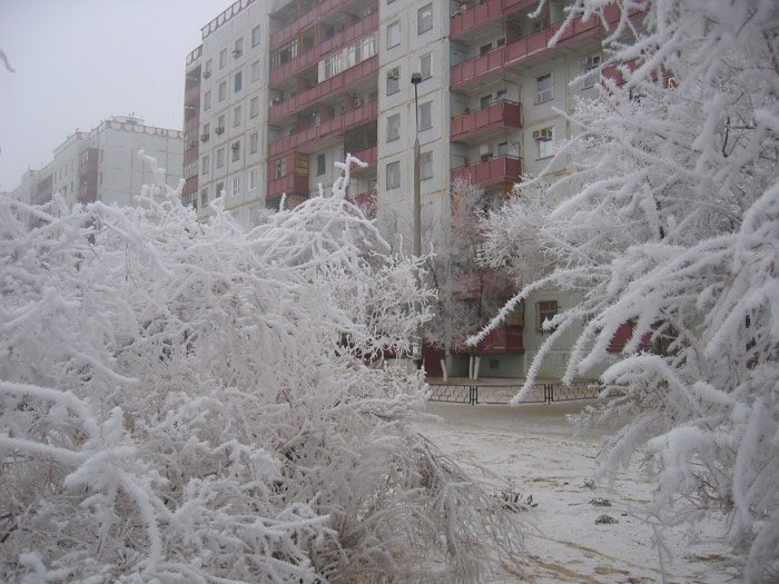 5 мкр. дом 29