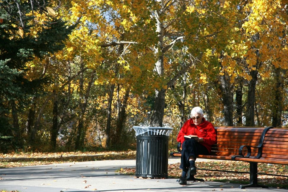 Falls afternoon - Eau Claire Park - Calgary, AB