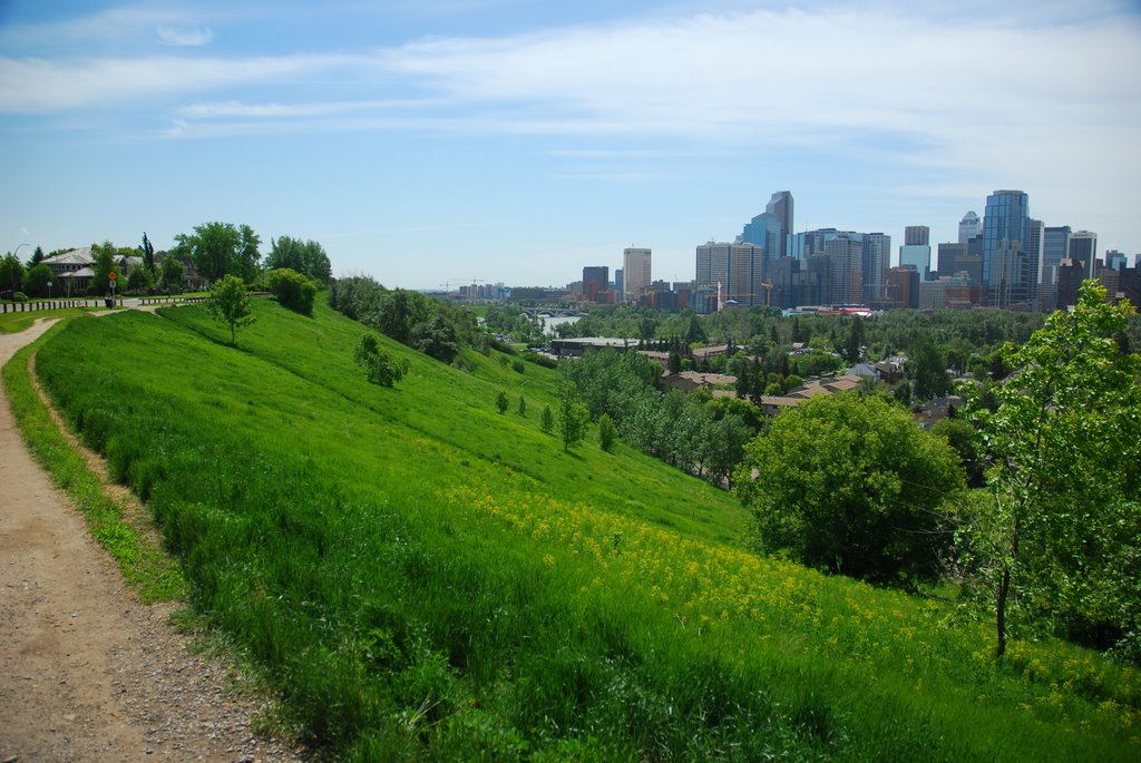 Grassy Knoll In Calgary Alberta