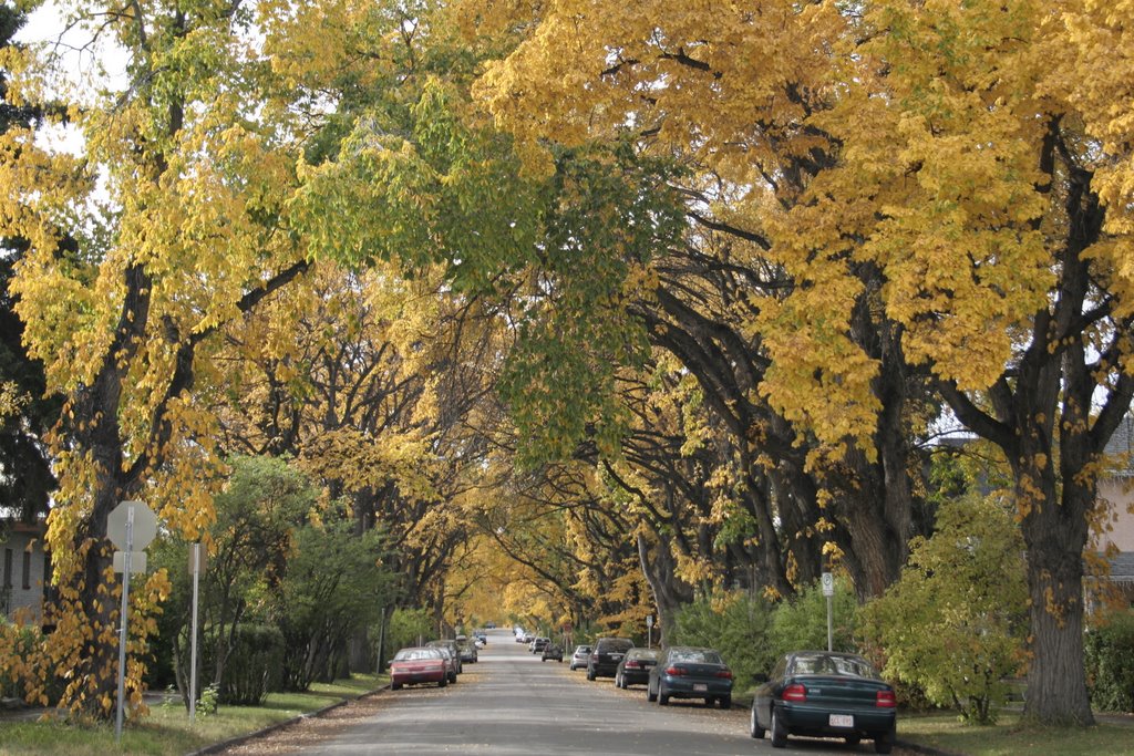 Calgary