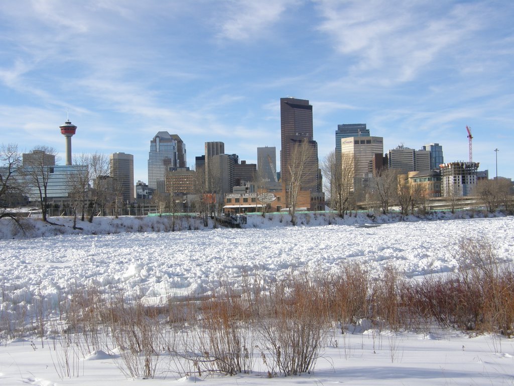 Calgary in winter