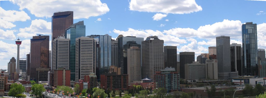 Calgary Panorama