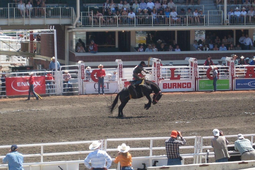 Stampede Bronco