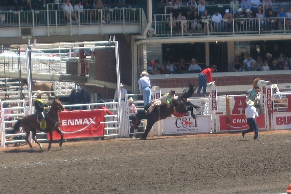 2007 Stampede