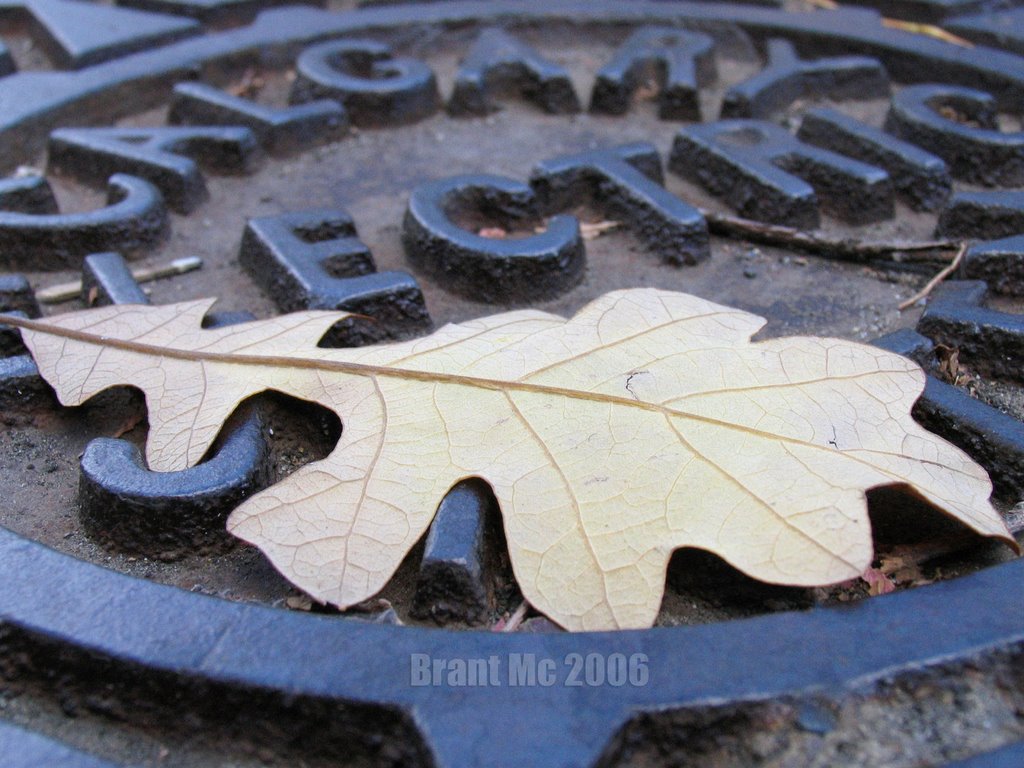 Manhole Cover
