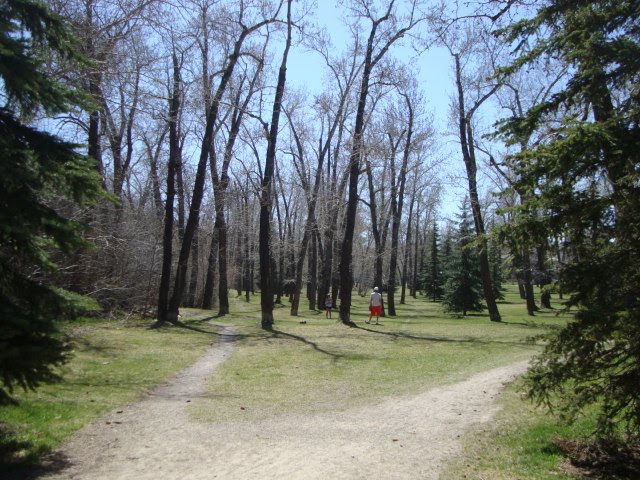 in the park