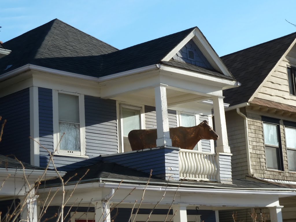 A Chicken in Every Garage, A Cow on Every Balcony