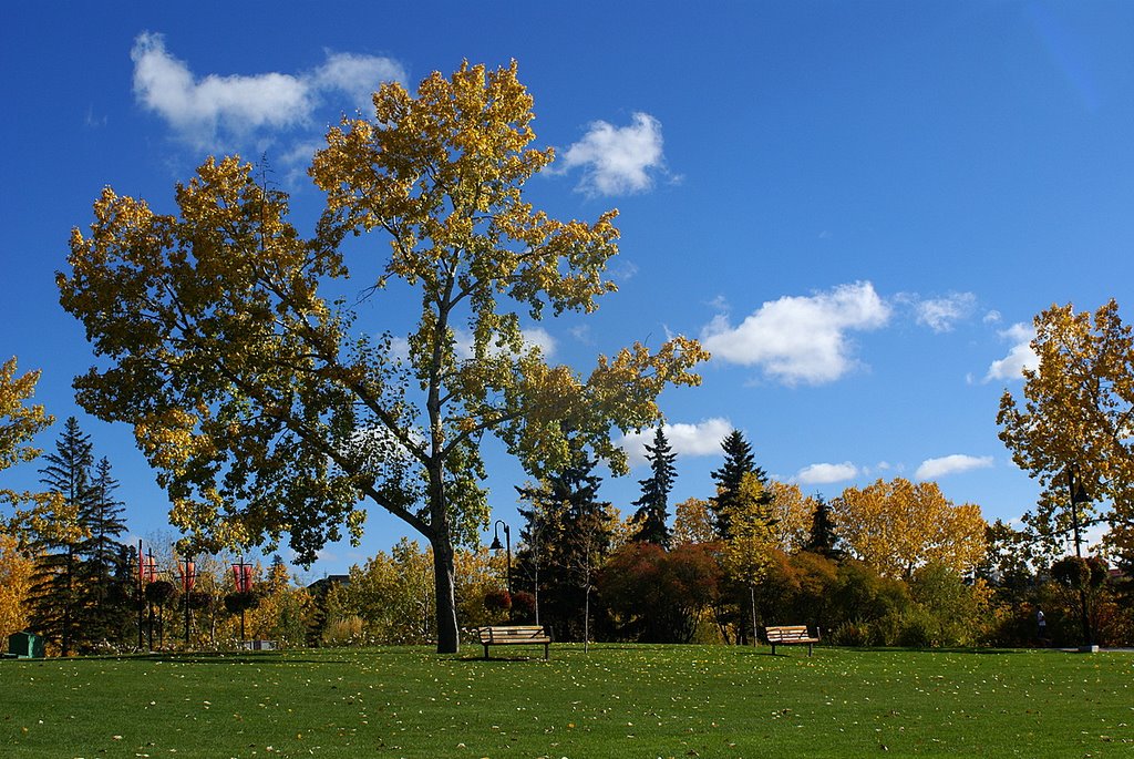 Princes Island Park, Calgary