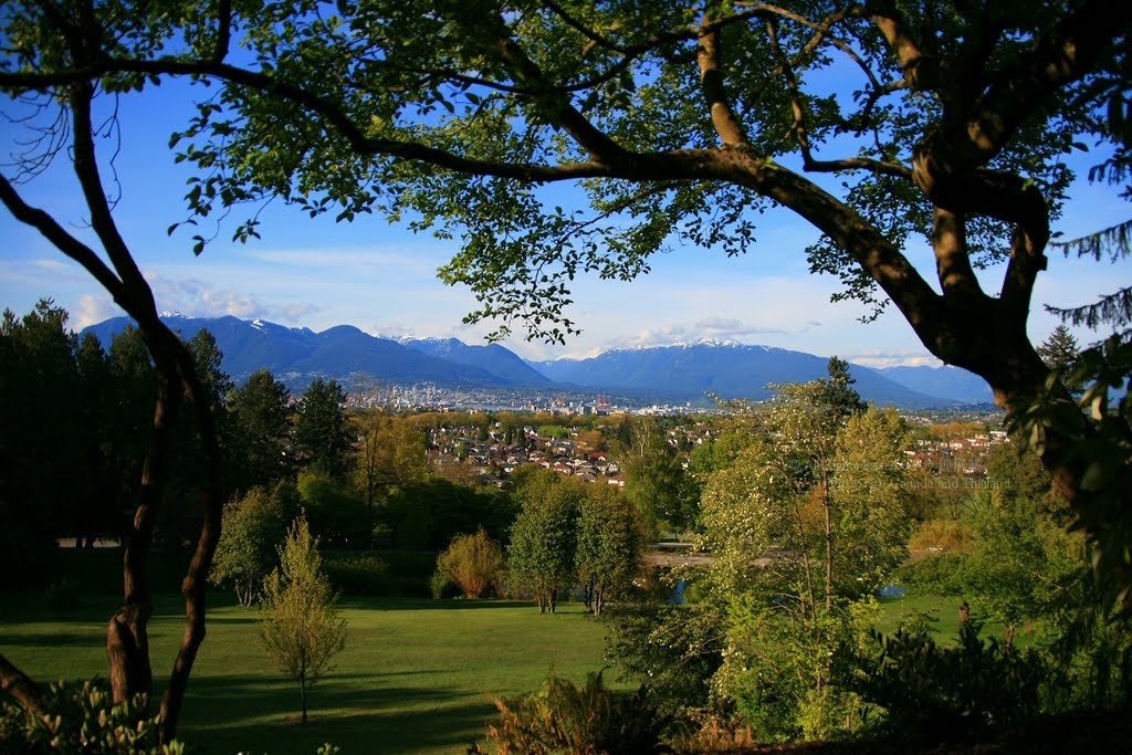 Looking over "the Couv" from Queen Elizabeth Park, Vancouver B.C.