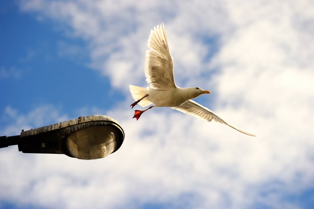 An aeroplane