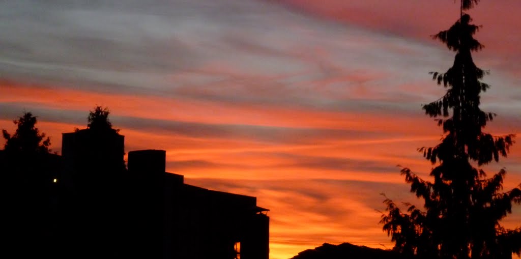 Fire in the sky