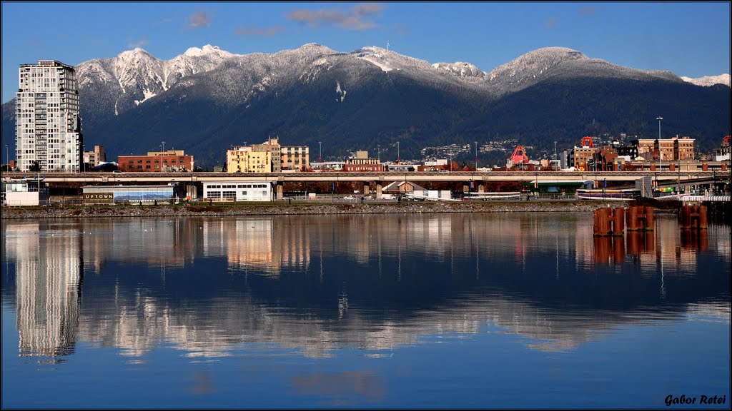 False Creek View