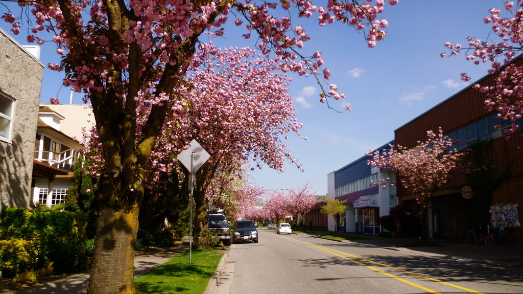 Pink day.