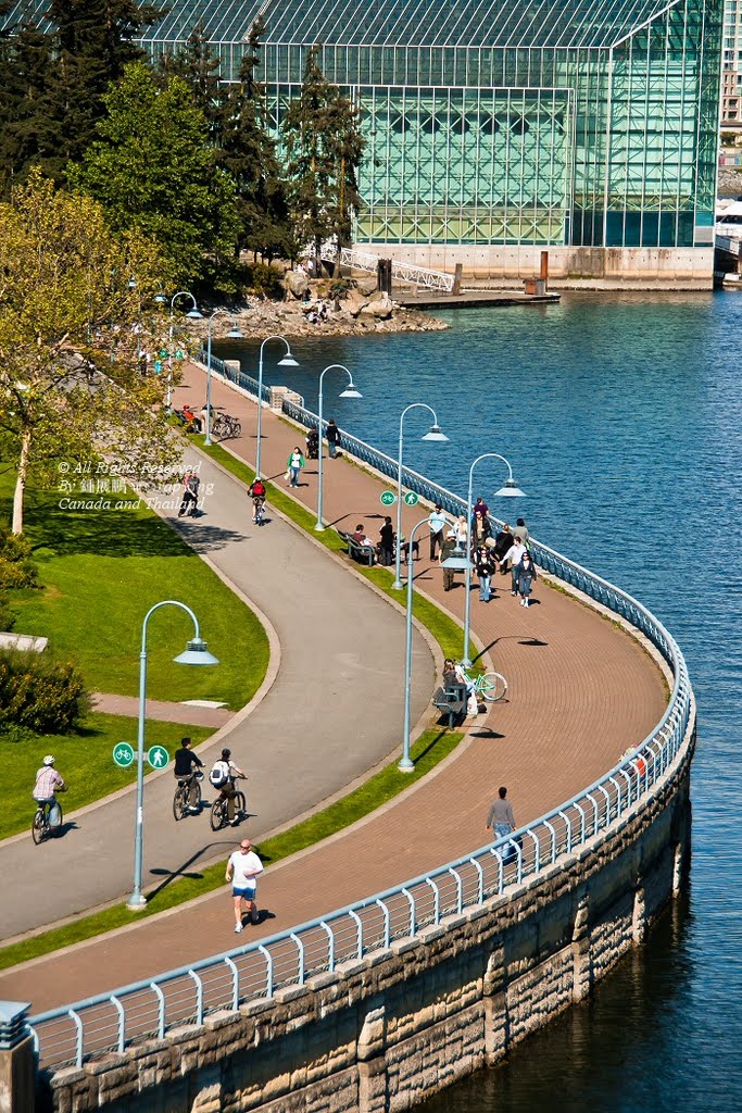 View over Coopers Park from Cambie สิ่งนี้เรียกว่า "คุณภาพชีวิต" • คุณชายหมูอ้วนสั่งแปะสติ๊กเกอร์ "กรุงเทพฯชีวิตดีๆที่ลงตัว" กลางสี่แยกอโศก ชีวิตบ้านคุณเมิงคนเดียวมั้ง