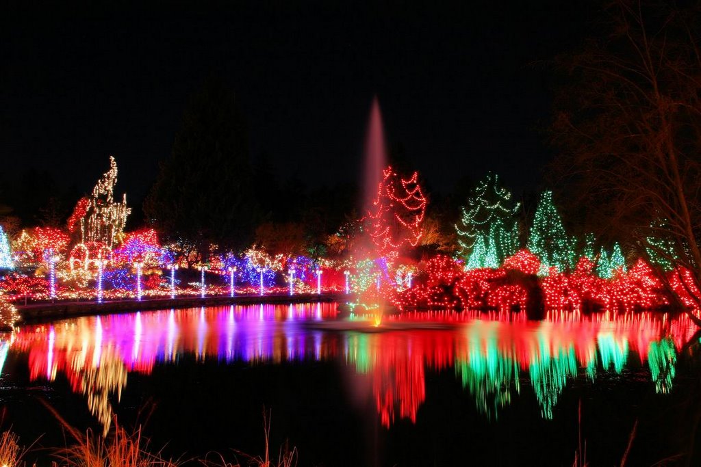 festival of lights 4