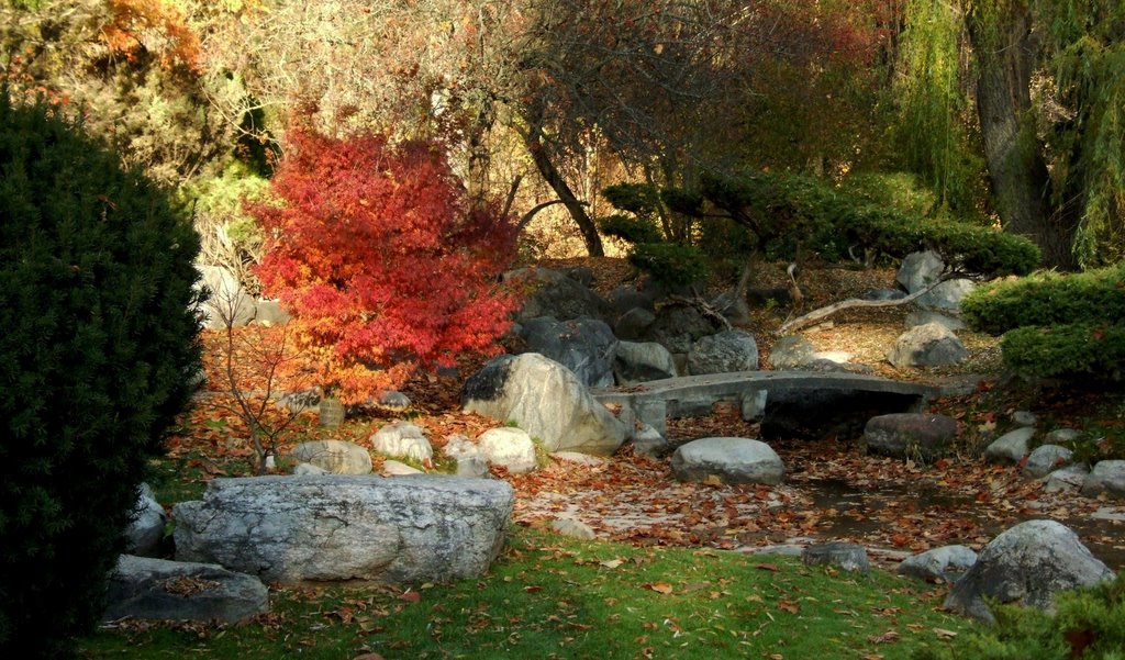 Japanese Garden in Autumn, Polson Park