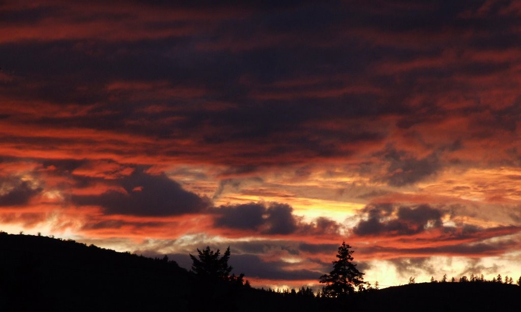 Vernon Sunset