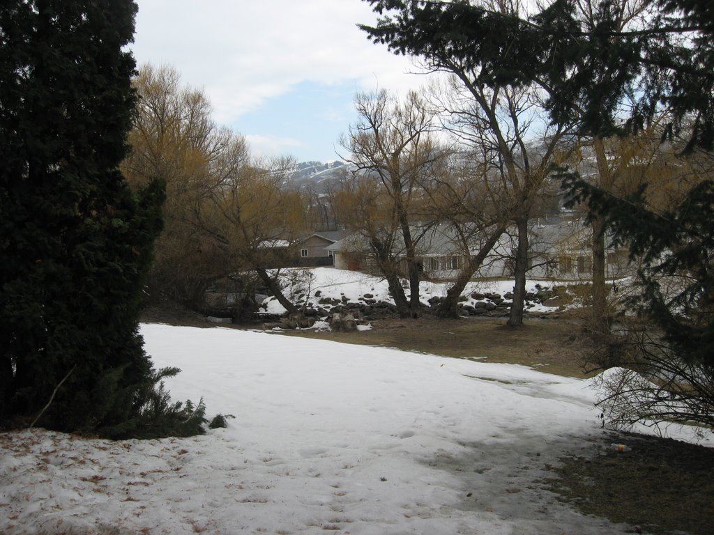 Creek behind Regency Gardens
