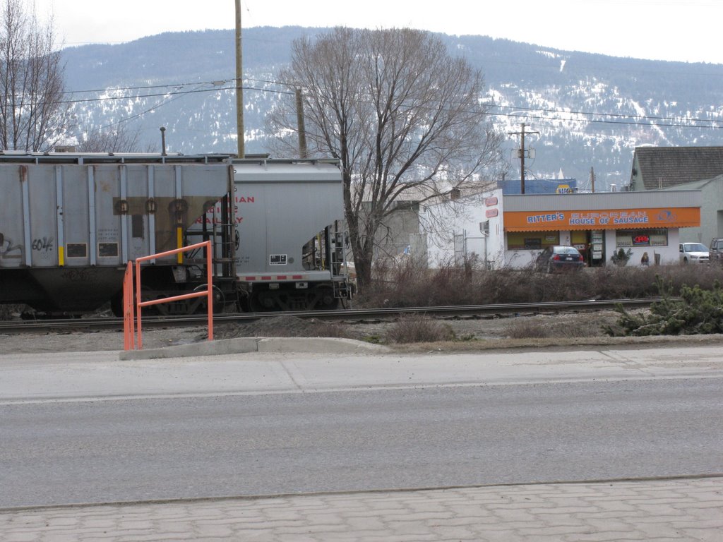 siding in town