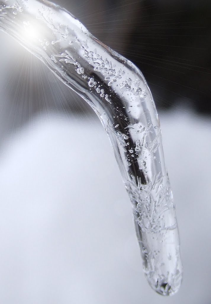 Icicle in sunlight, taken in my back yard