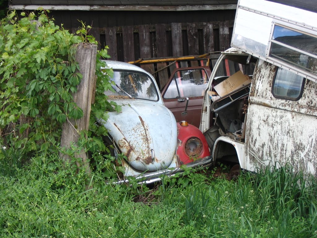 Old Volkswagens rusting away behind a neighbourhood garage.