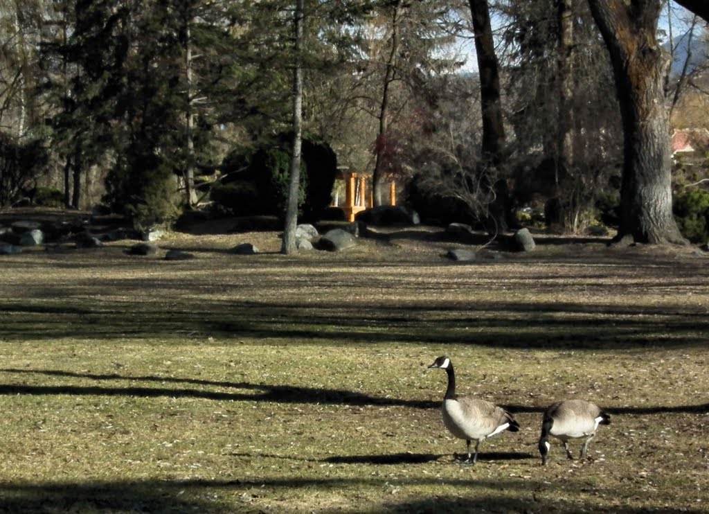 A Spring Day in Polson Park