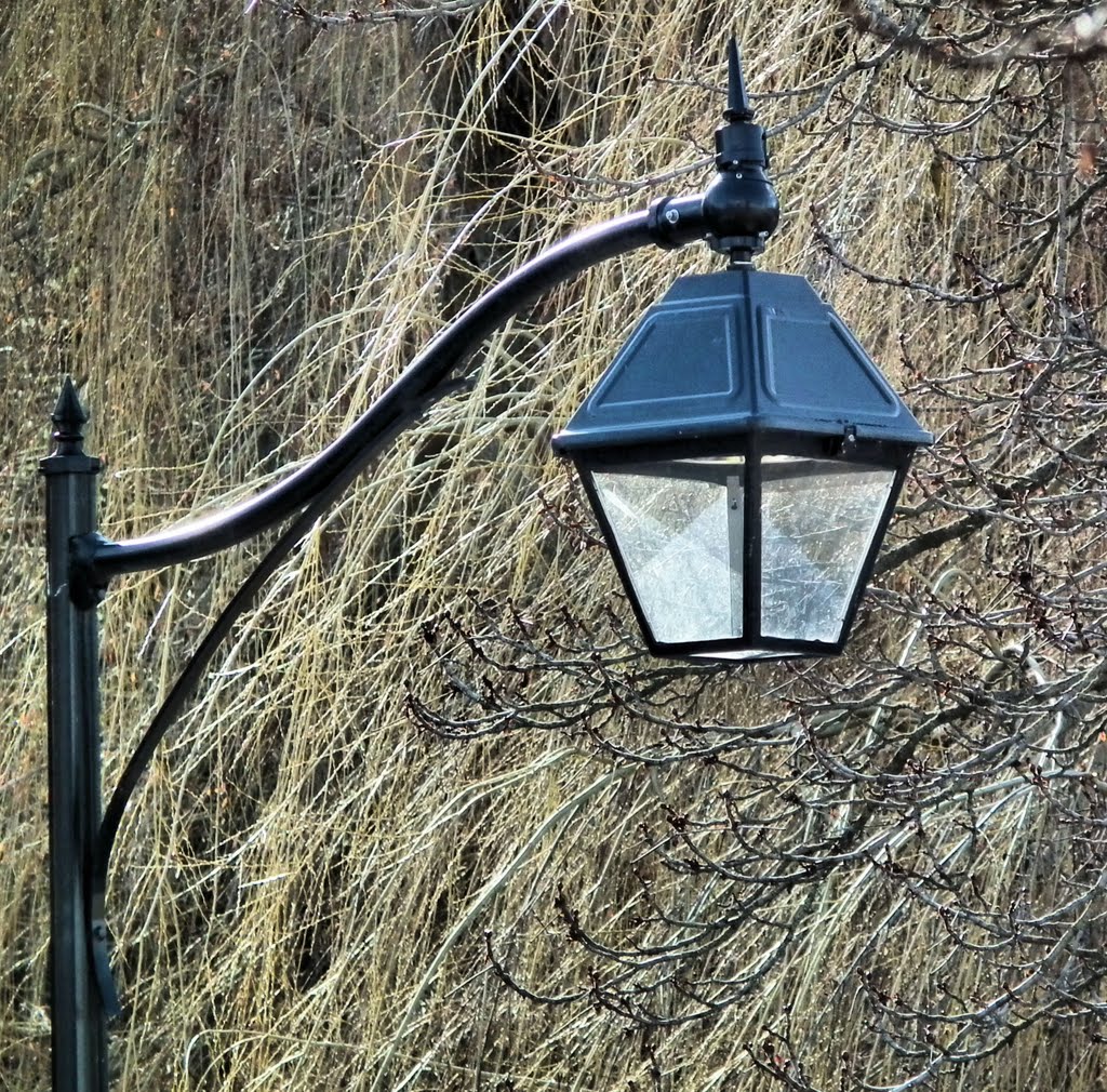 Lamp-post in Polson Park