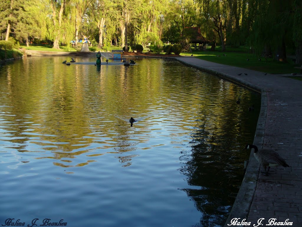 By the pond