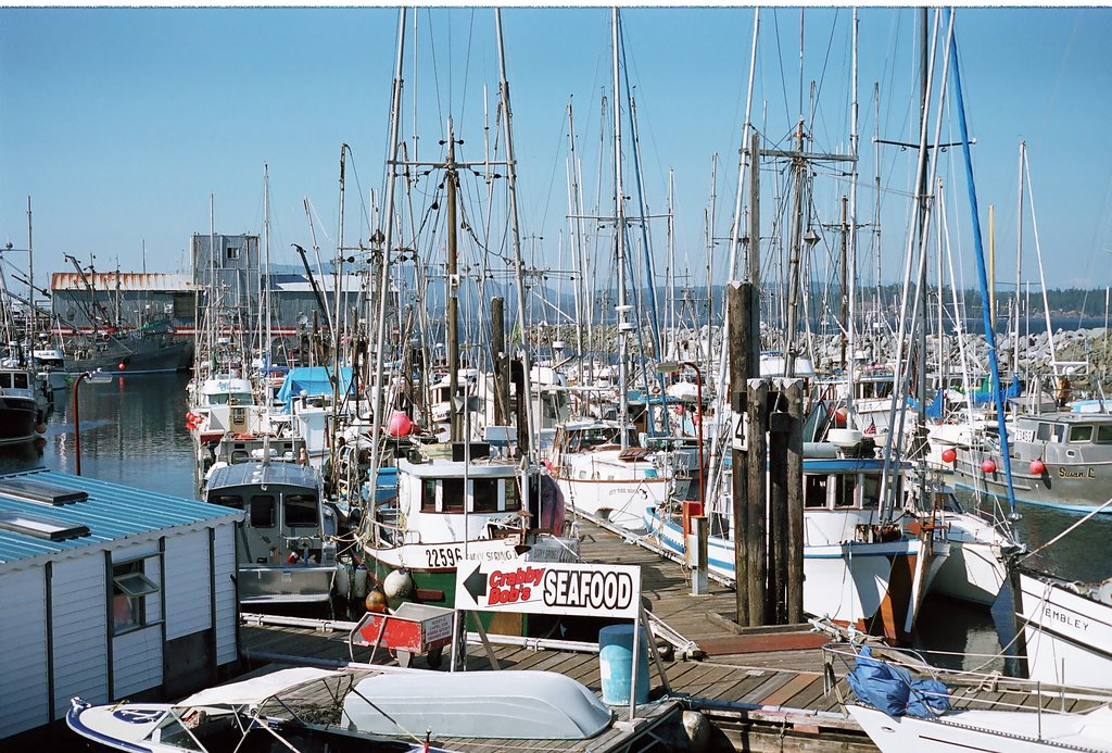 Government Wharf. Campbell River British Columbia