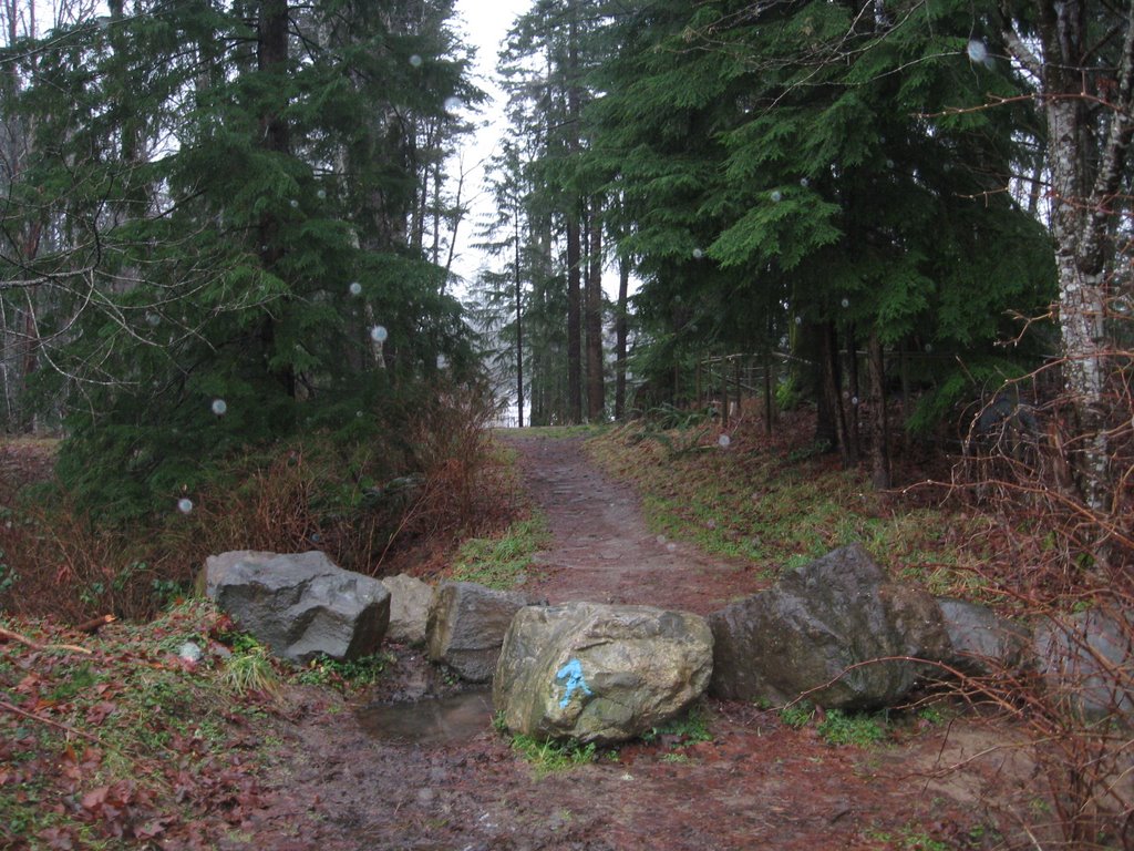 Croation Trail