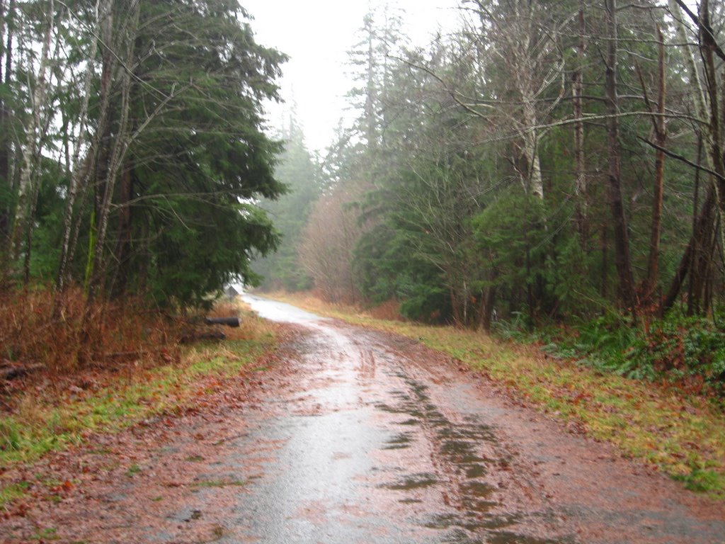 Elk River Timber Road southview