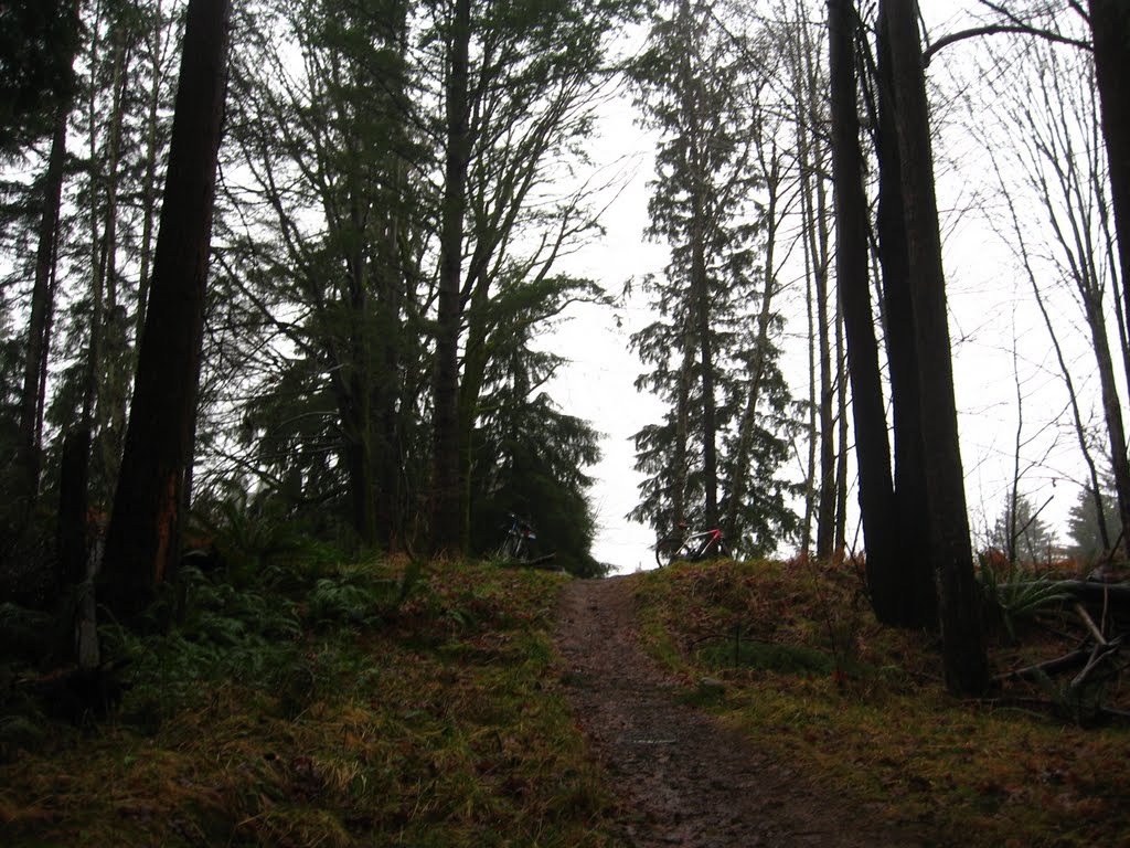 Croation Trail
