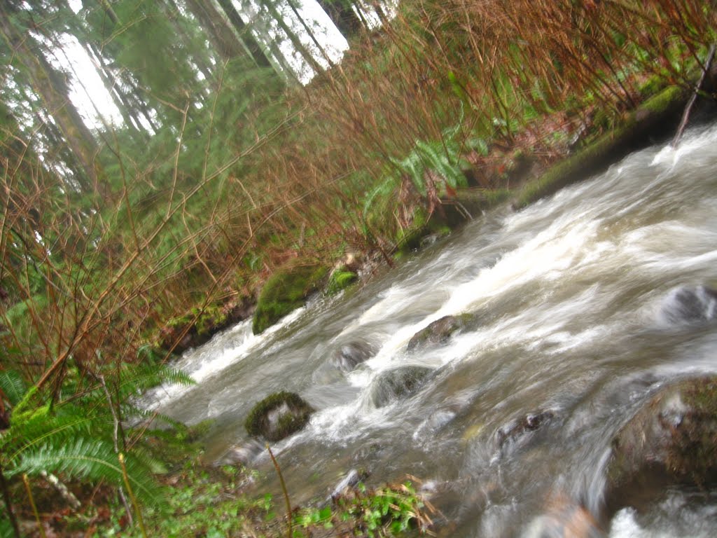 Nunns Creek