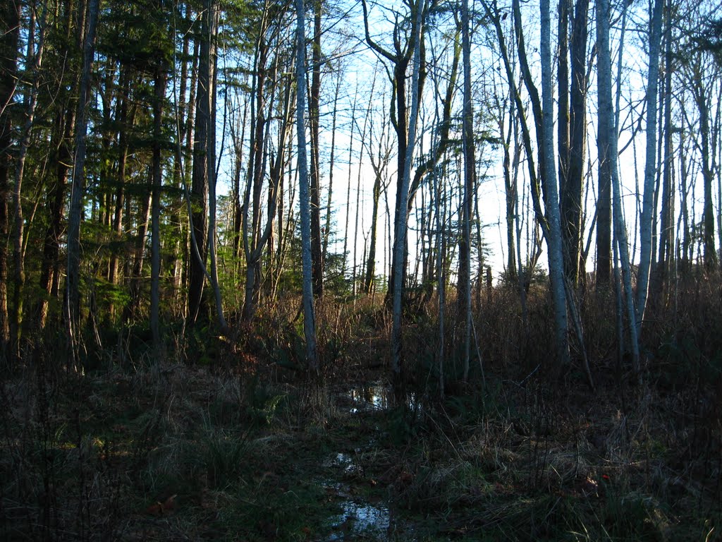 E.R.T trails