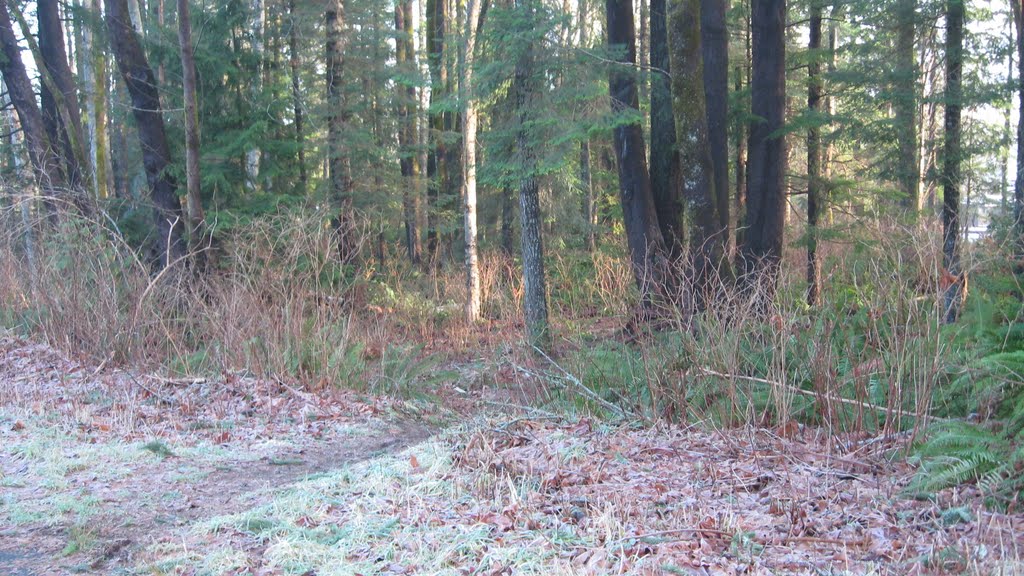 E.R.T road homewood trail