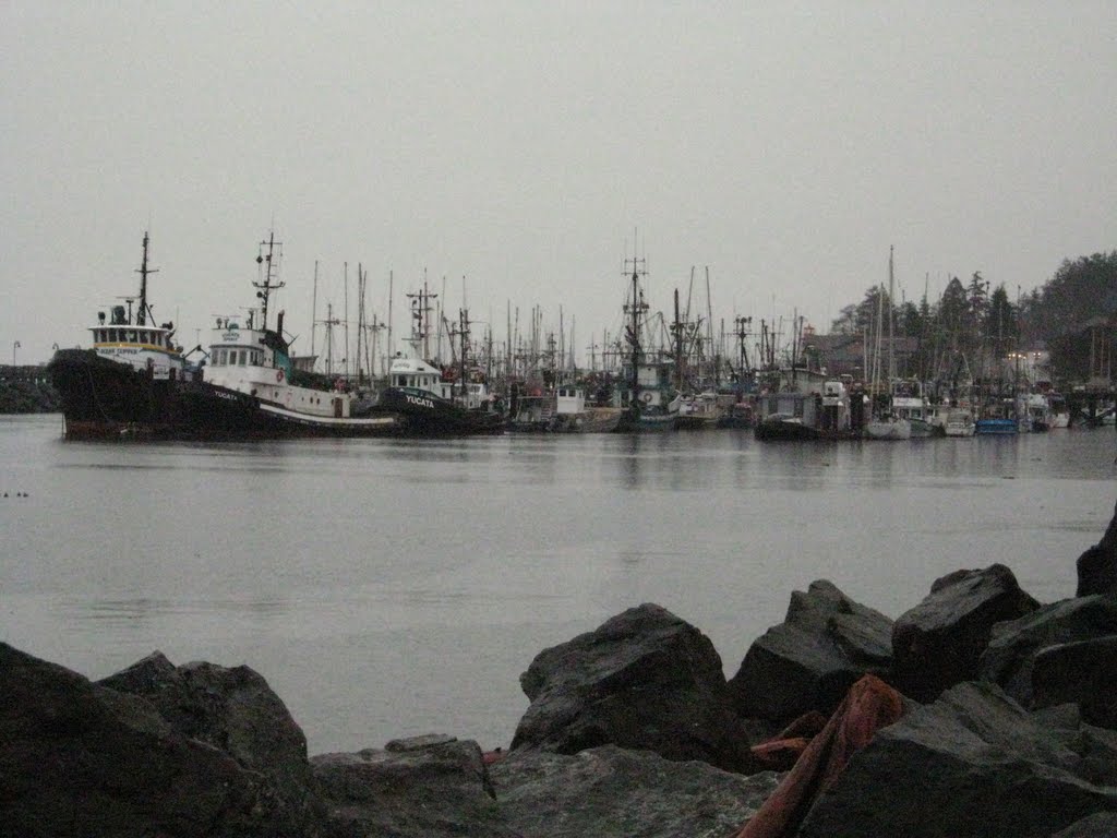 forshore boats
