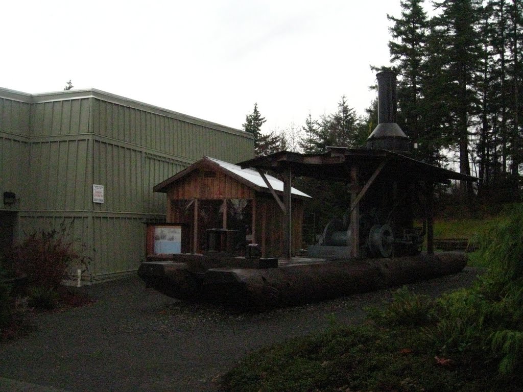 The Museum