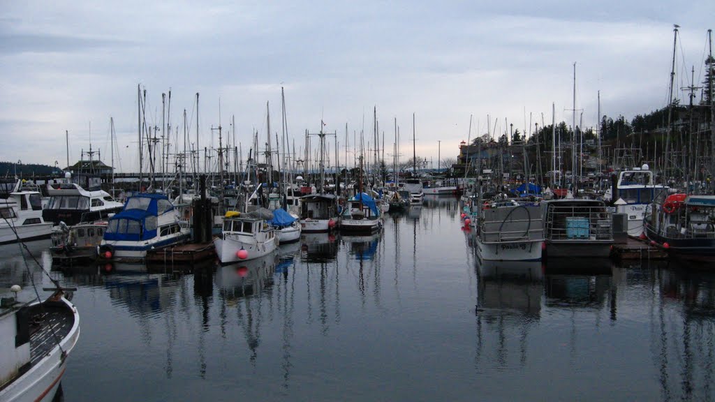 The Docks