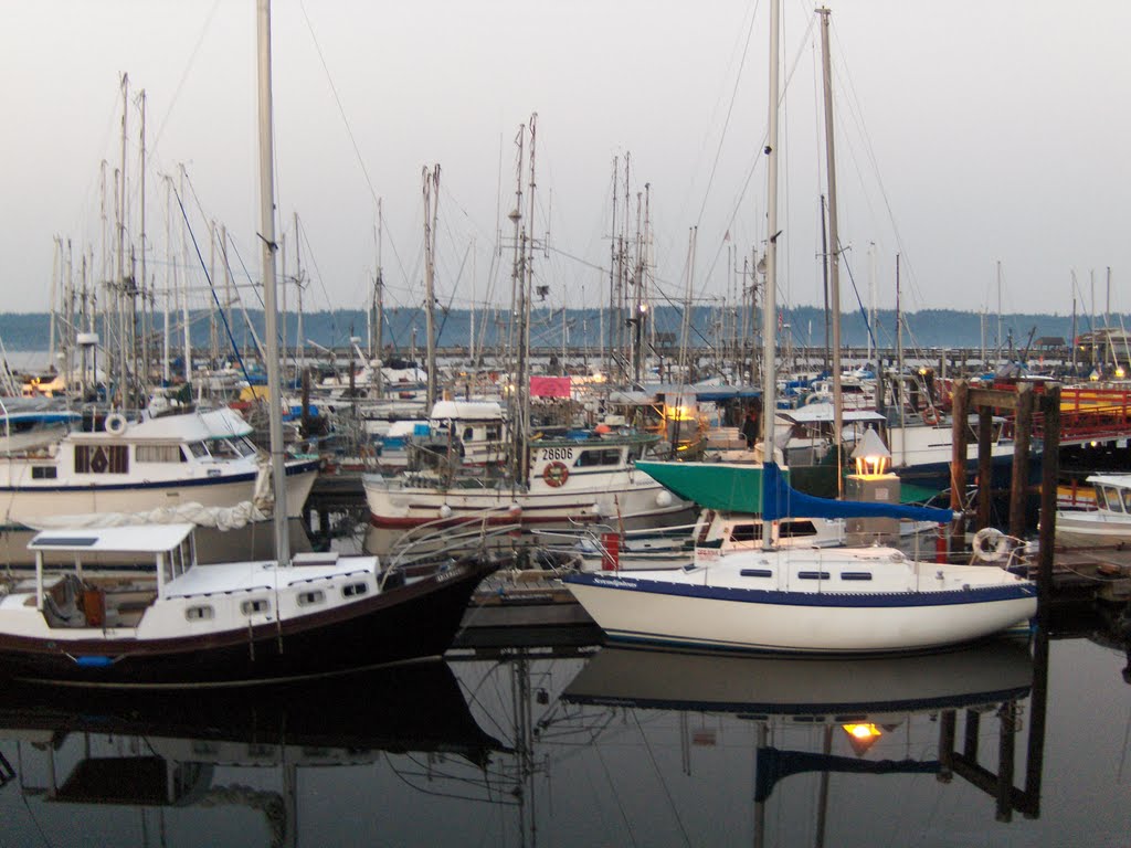 Campbell River. Hafen_100815