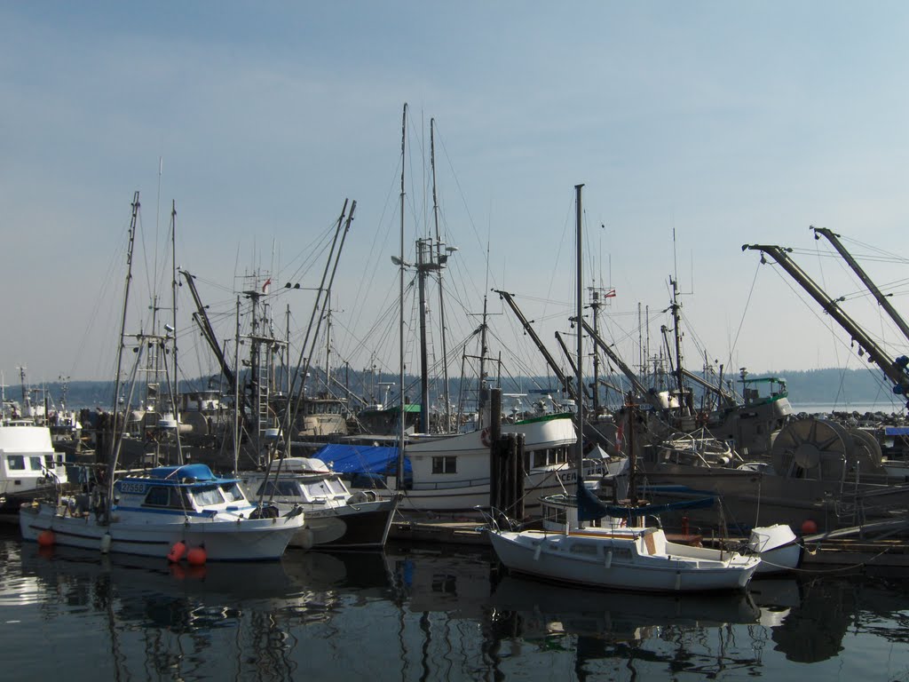 0434_Campbell River. Hafen_100815