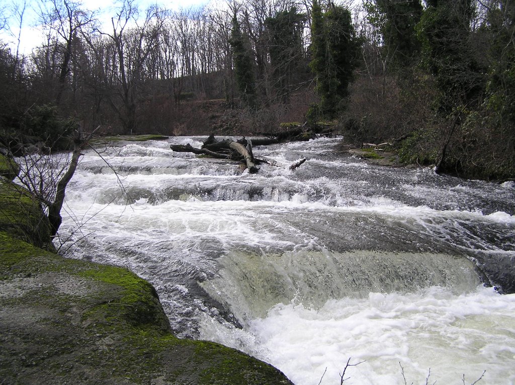 Millstone River rapids near estuary