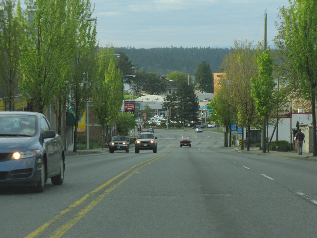Nicol Street